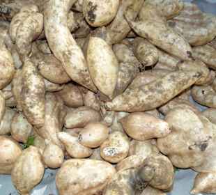 Rundgang über den Petit Marché von Saint-Denis