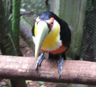 Exotische Fauna und Flora zum anfassen