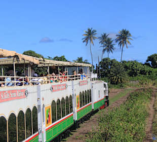 Sugar Train St. Kitts