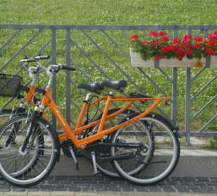 Mit dem Mietrad die Promenade entlang