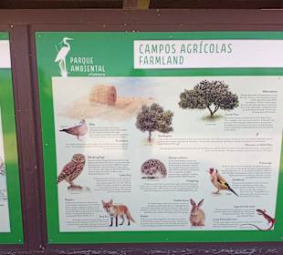 Wandern Olhos de Água