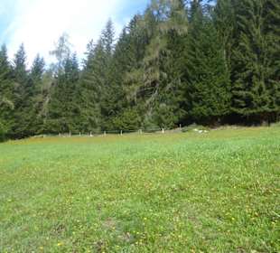 Wandern Gsiesertal