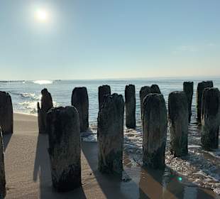 Strand Mielenko