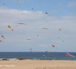 Drachen am Strand Corralejo