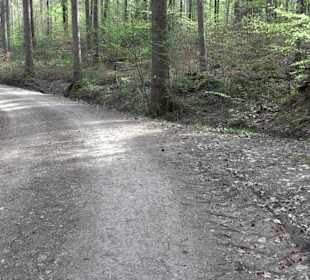 Walderlebnisweg Rottenburg