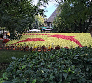 Gemälde aus Äpfeln