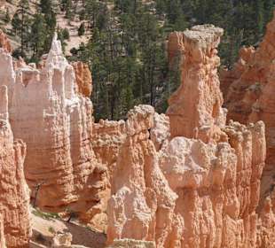 Bryce Canyon N.P.