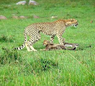 So trafen wir sie wieder