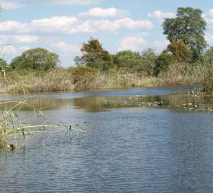 Fluss Kwando