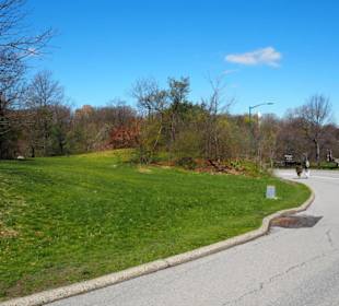 Straße um den Central Park