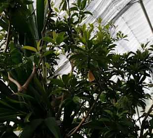 Botanischer Garten 