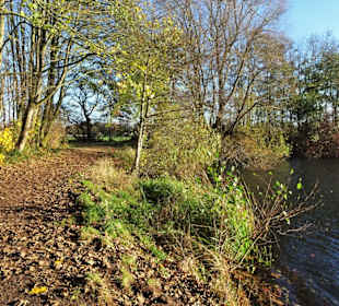 Eindrücke vom Rundweg durch den Volkspark Bokel