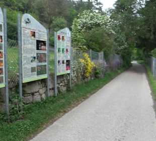 Naturinfopfad Weggental