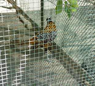Tierpark Manavgat