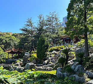 Impressionen aus dem chinesischen Garten