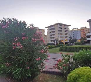 Hier werden die besten Bilder gemacht