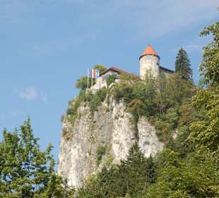 Burg   in Bled