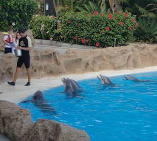 Wir haben Hunger, wo bleibt das Leckerli