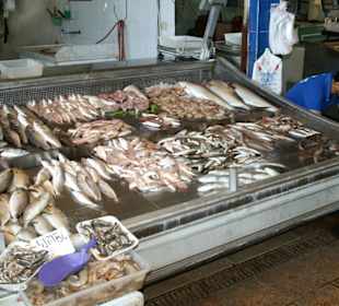 Bohatá nabídka ryb