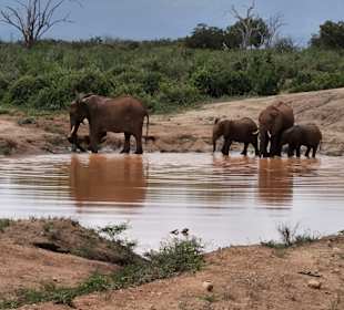 Tsavo Ost Nationalpark