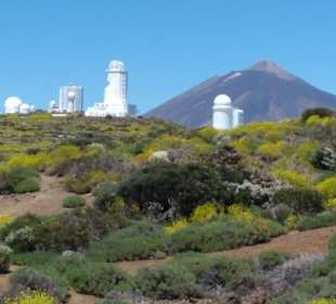 Observatorio del Teide