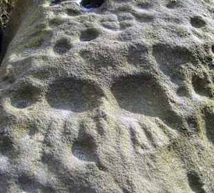Megalithgrab mit Schalenstein