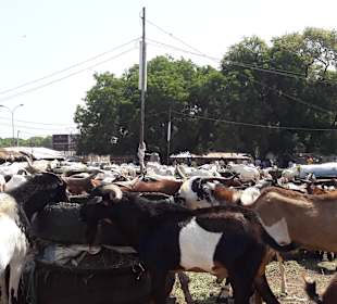 Markt Serekunda