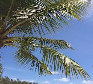 Ile de Gabriele / Insel Gabriel