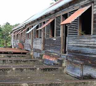 Plantation Dougaldston Estate