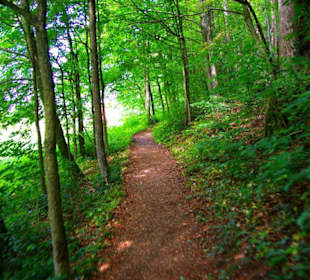 Wanderung zum Bärenfels