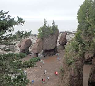 Teilansicht der Hopewell Rocks