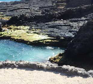 Blick auf das Naturschwimmbad