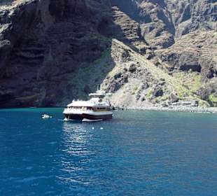 Felsen - Los Gigantes