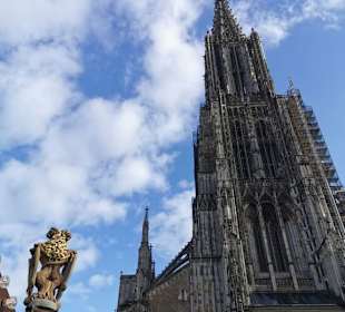 Ulmer Weihnachtsmarkt 2019