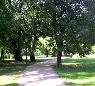 Schattige Wanderwege inmitten des Parkes
