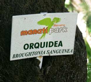 Manati park bavaro