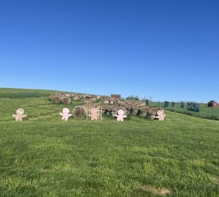 Clark's Elioak Farm