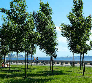 Park 300 lecia Sankt Petersburga