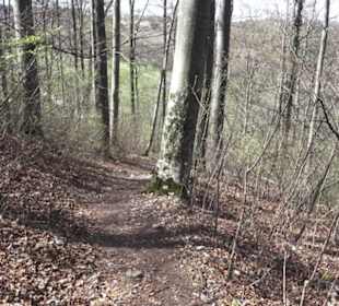 Wanderweg Hochgehkämpft