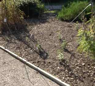 Botanischer Garten München