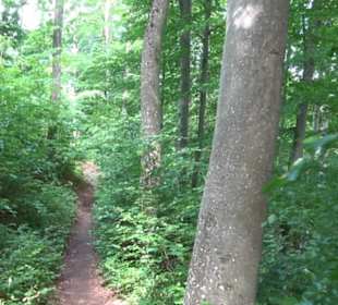 Premiumwanderweg "hochgelegen"