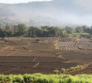 Ausblick vom Hauptgebäude