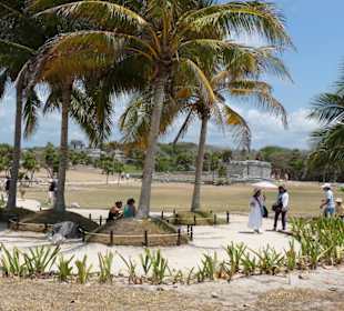 Blick übers Areal nach Norden