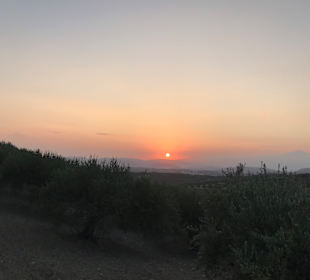 Inselrundfahrt Kreta
