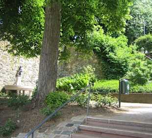 Zum Rosengärtchen muss man ...