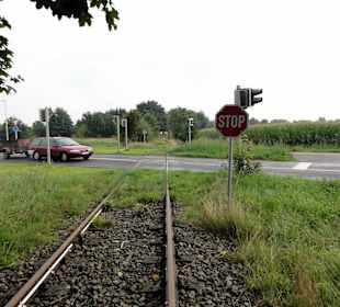 Überquerung einer Straße