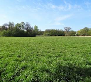 Impressionen aus dem Hermann-Löns-Park
