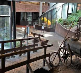 Ausstellungsbereich "Dümmersee"