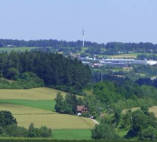 Naturschutzgebiet Forchenkopf Wittlensweiler