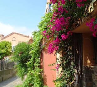 Spaziergang durch die Altstadt von Collioure